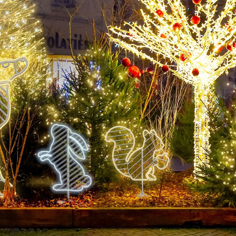 kerstverlichting-huren-winterse-lichtmagie-1